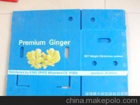 淄博晴天樹(shù)包裝制品 專(zhuān)業(yè)生產(chǎn)PP中空箱，高品質(zhì)塑料箱的選擇