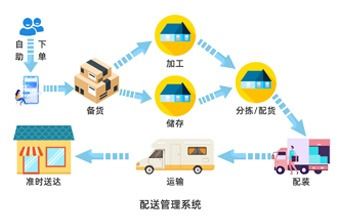 物流老板必看 借力工業物聯網與GPS軌跡，驅動配送效率飆升30%的網絡技術開發策略